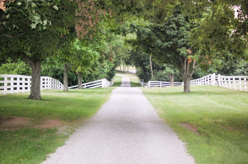 Road Grading Service